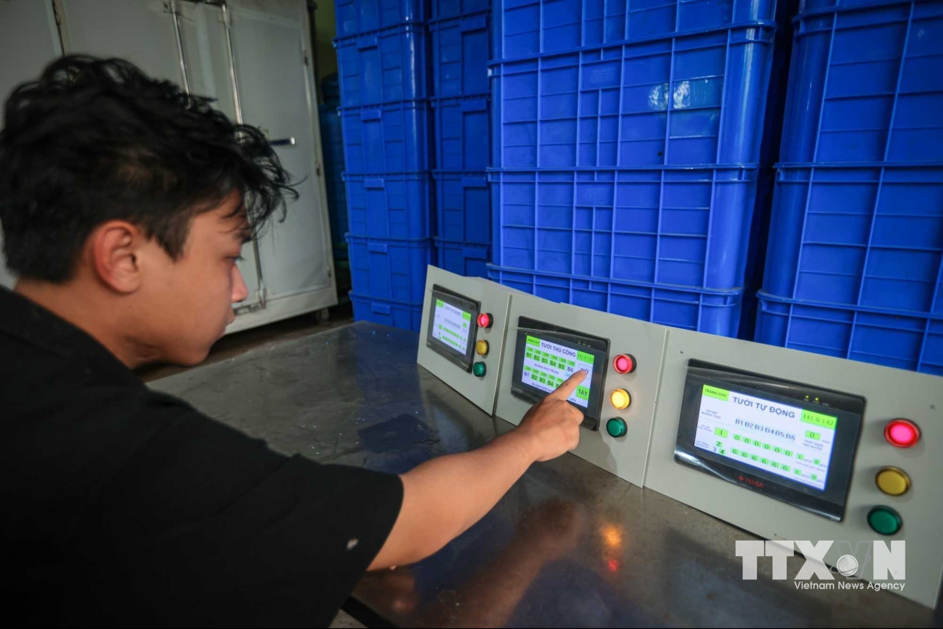 Hiệu chỉnh bộ điều khiển máy trồng giá đỗ tự động phục vụ các hộ kinh doanh, hợp tác xã, doanh nghiệp sản xuất nông sản sạch hay nông trại chăn nuôi dùng giá làm thức ăn cho gia súc, gia cầm, với công suất khoảng 200kg giá đỗ/ngày. (Ảnh: Hoàng Hiếu/TTXVN)
